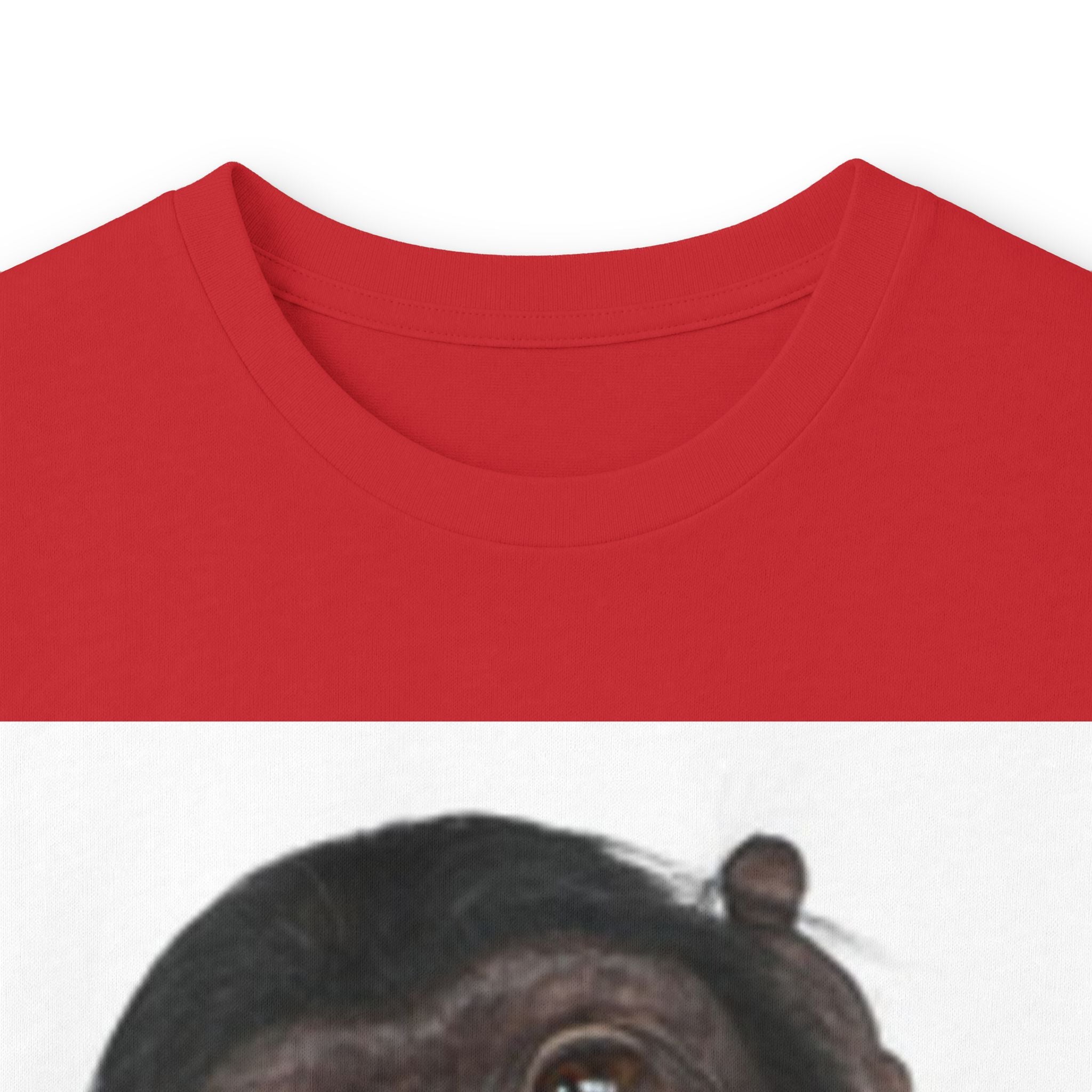 Unisex Ultra Cotton Long Sleeve Tee