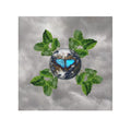 Butterfly Earth Face Towel & Earth Facts — Botanical Blue Morpho Design