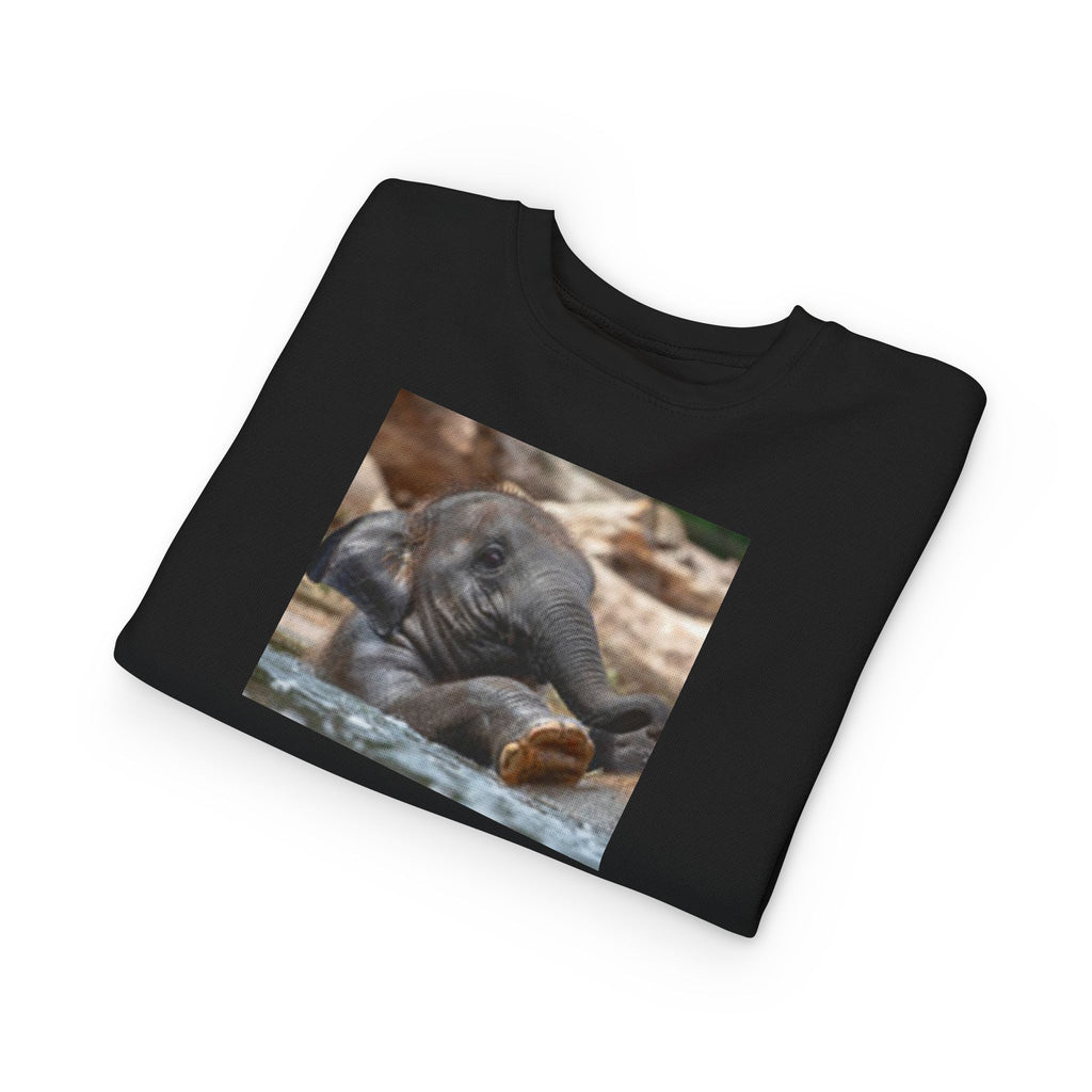 Toddler Sweatshirt - Cute Baby Elephant Nap Photo Sweatshirt for Kids