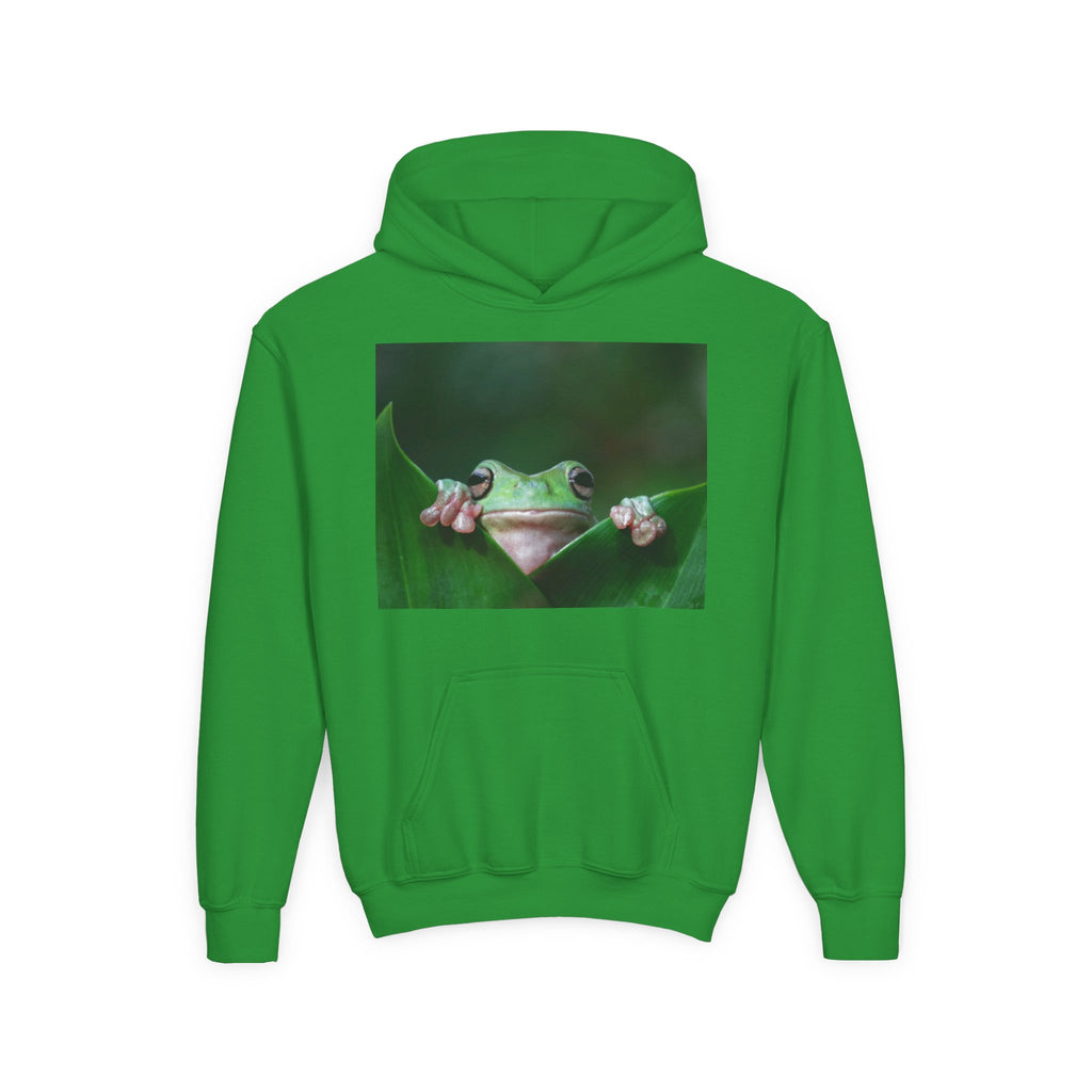 Youth Frog Hoodie – Cute Green Tree Frog Graphic Pullover