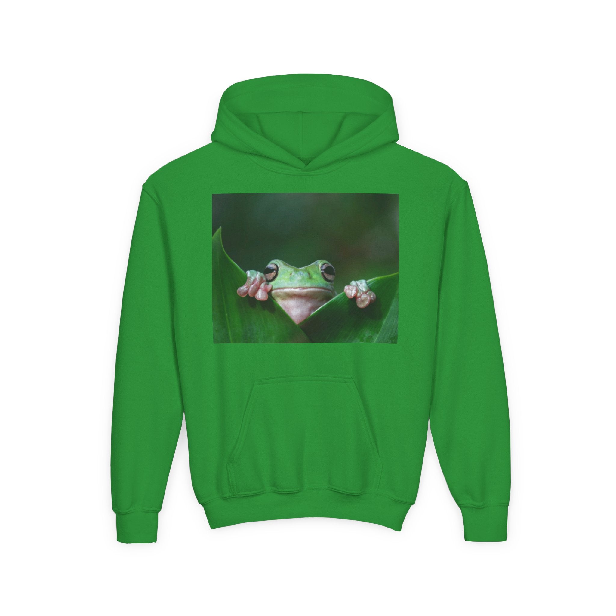 Youth Frog Hoodie – Cute Green Tree Frog Graphic Pullover