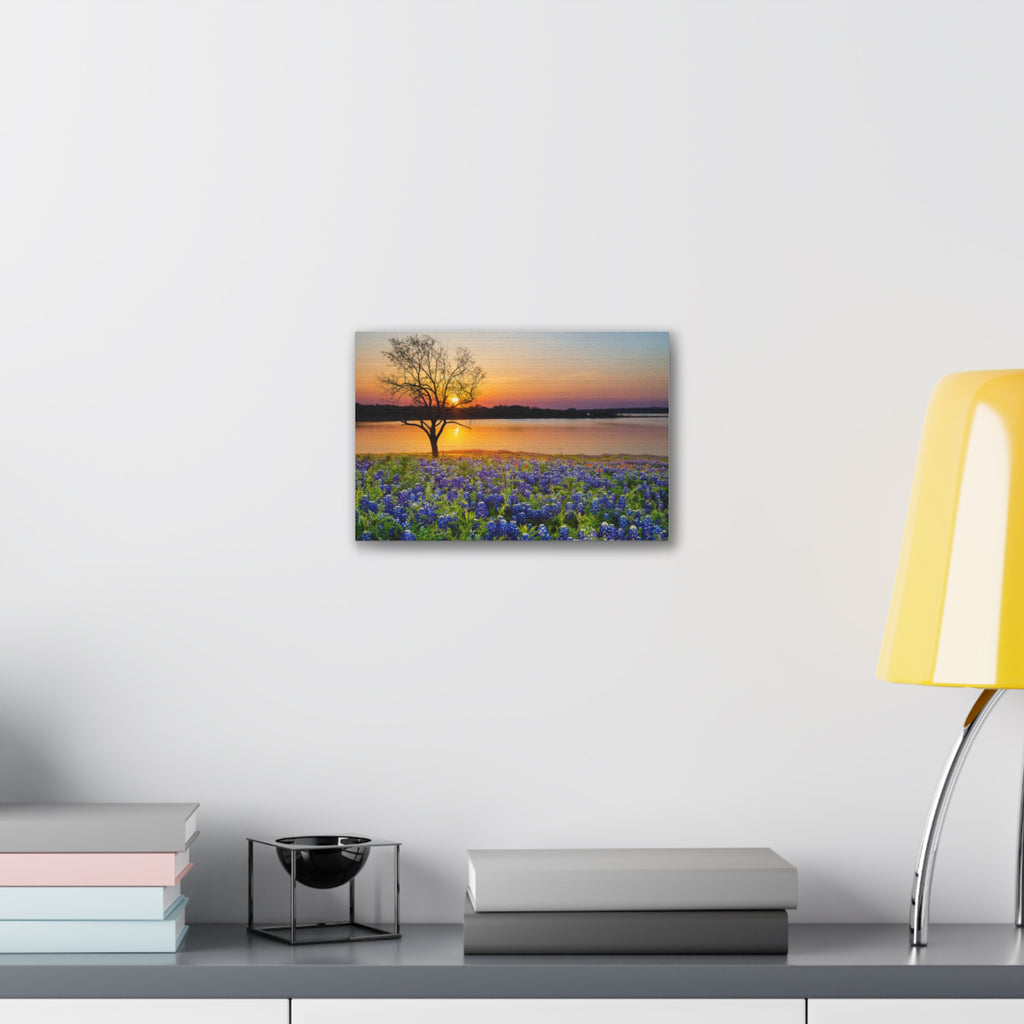 Canvas Wall Art - Bluebonnet Sunrise Landscape