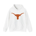 Longhorn Texas Hoodie — Patriotic American Flag Sweatshirt