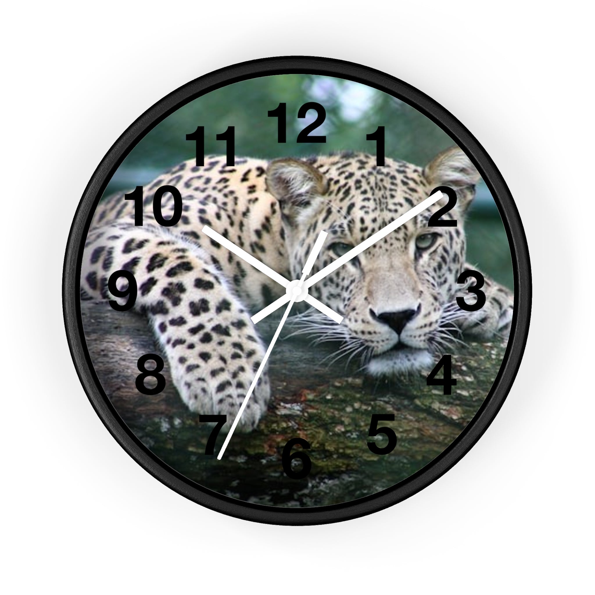 Leopard Wall Clock — Relaxed Wild Cat Photo Clock for Safari-Lodge Decor