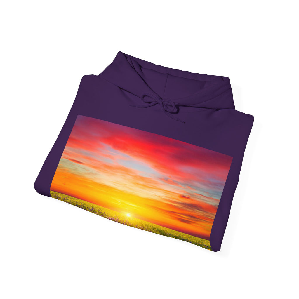 Sunrise Meadow & Horse Graphic Hoodie — Scenic Sunset Landscape and Saddled Horse Print