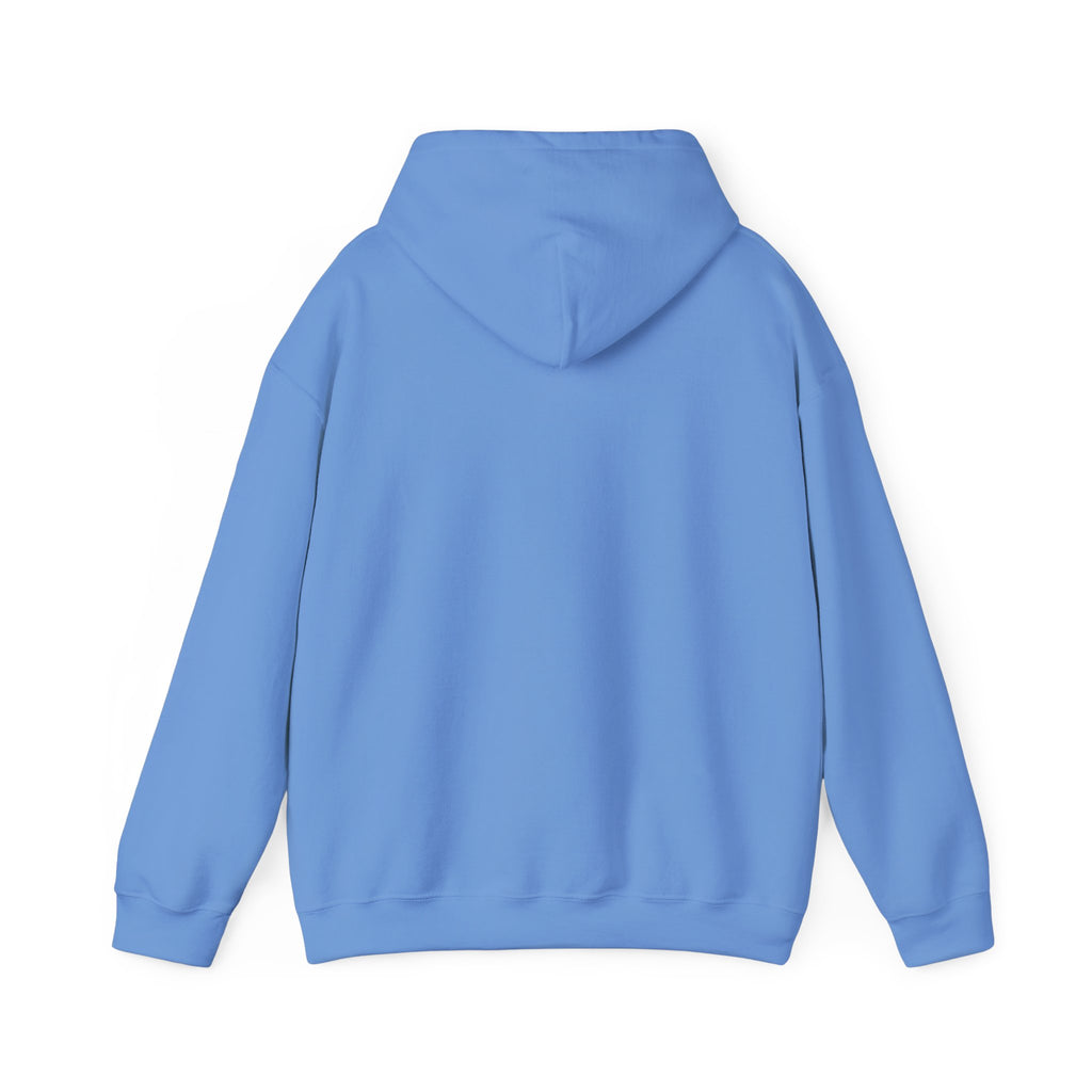Galloping Stallion Hoodie – Realistic Bronze Horse Print