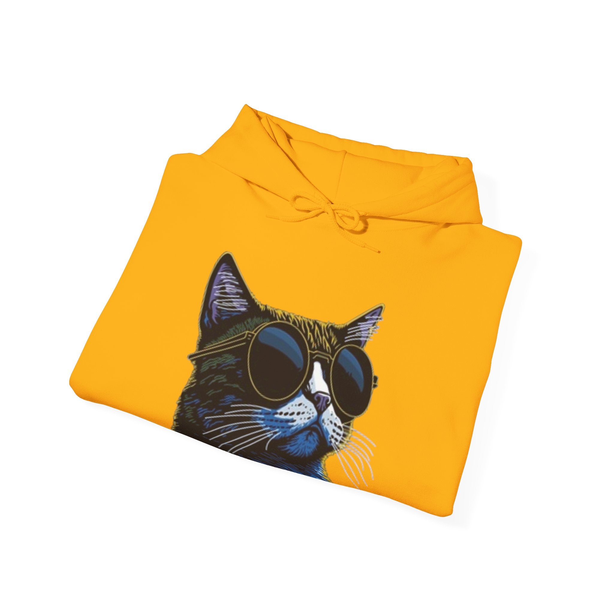 Cat Graphic Hoodie - Retro Sunglasses Cat Front & Colorful Cat Pattern Back Sweatshirt