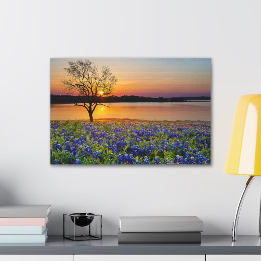 Canvas Wall Art - Bluebonnet Sunrise Landscape