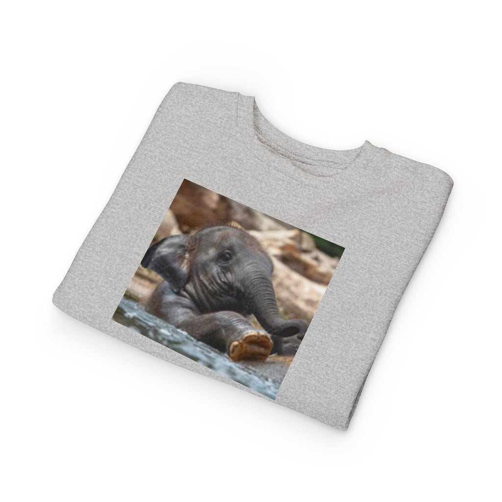 Toddler Sweatshirt - Cute Baby Elephant Nap Photo Sweatshirt for Kids