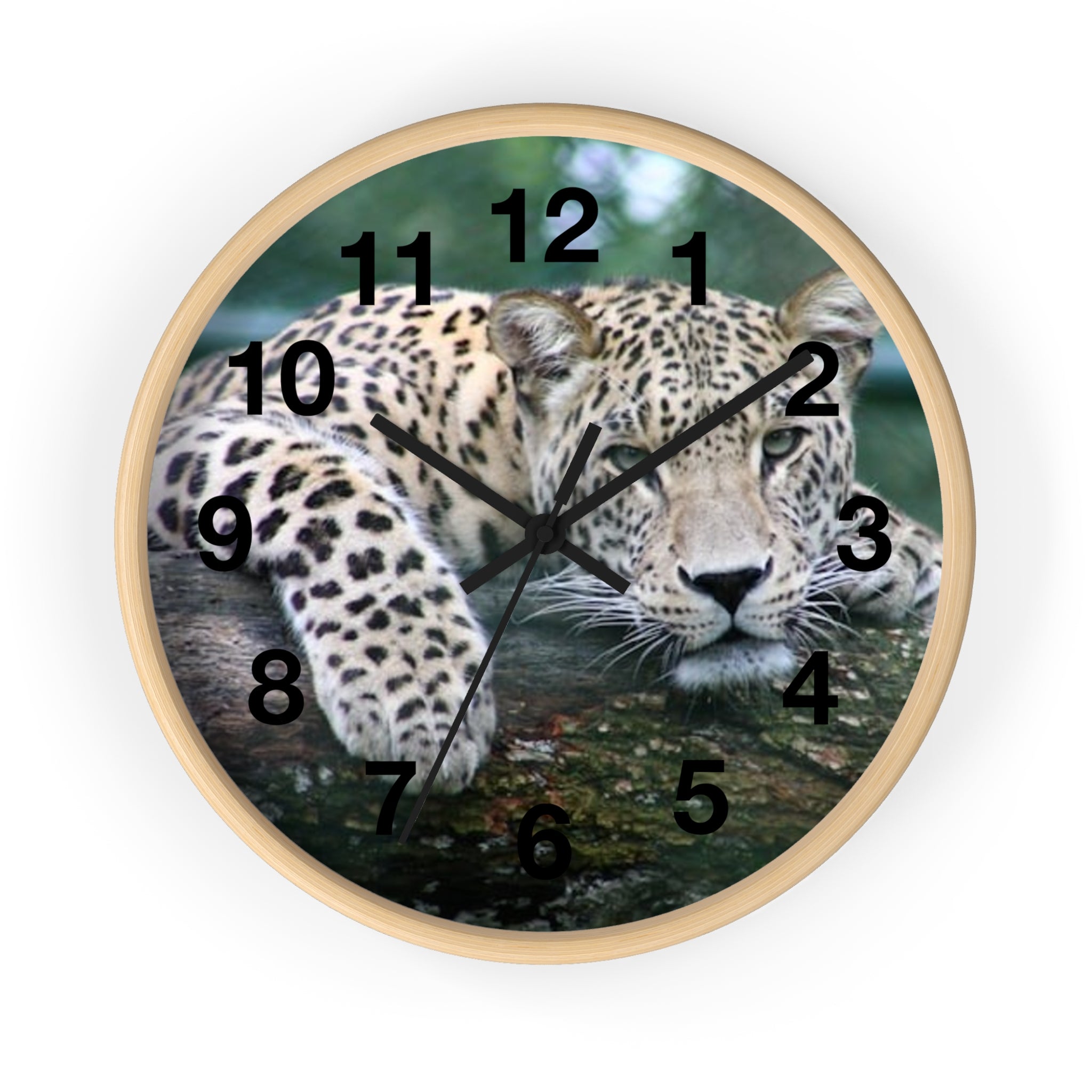 Leopard Wall Clock — Relaxed Wild Cat Photo Clock for Safari-Lodge Decor