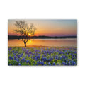 Canvas Wall Art - Bluebonnet Sunrise Landscape