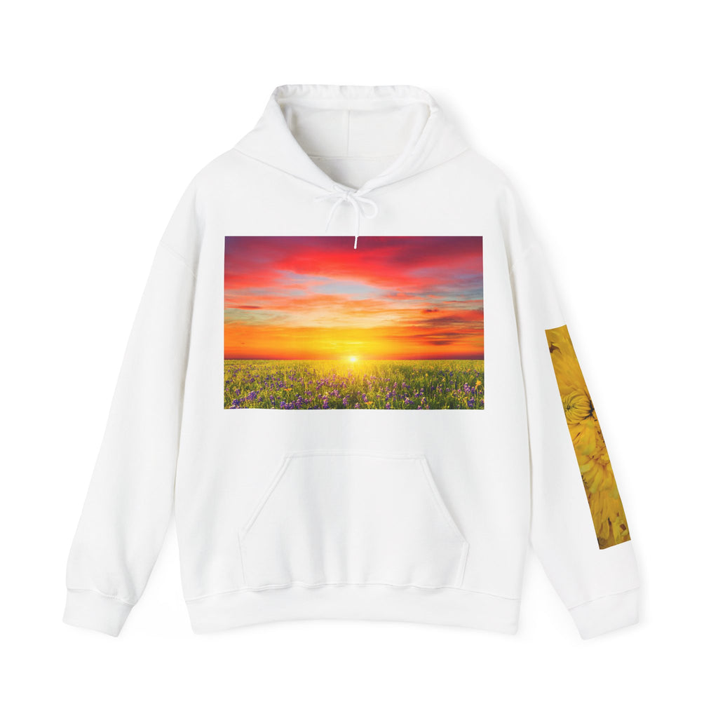 Sunrise Meadow & Horse Graphic Hoodie — Scenic Sunset Landscape and Saddled Horse Print