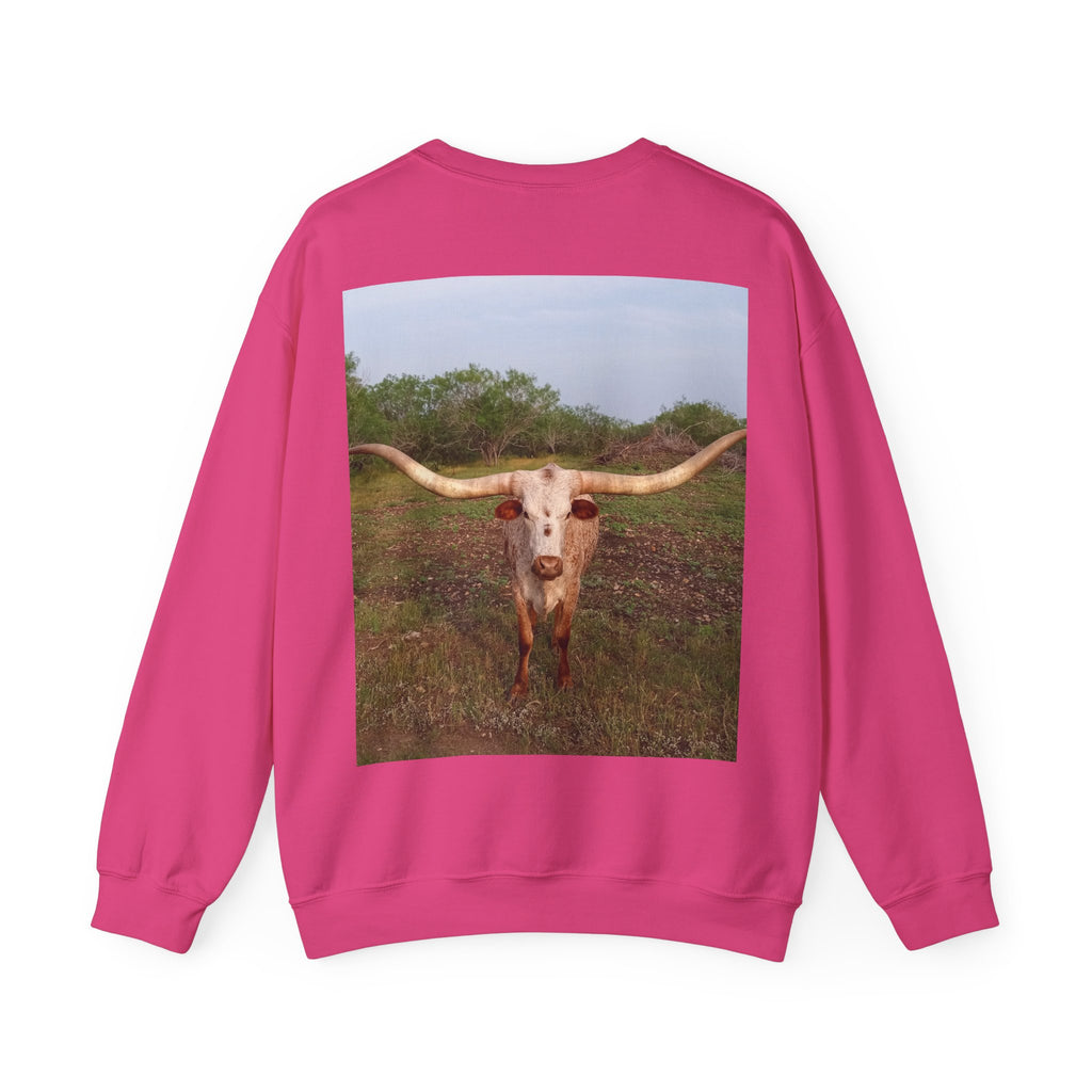 American Flag Crewneck Sweatshirt & Texas Longhorn  — Distressed Watercolor USA Graphic