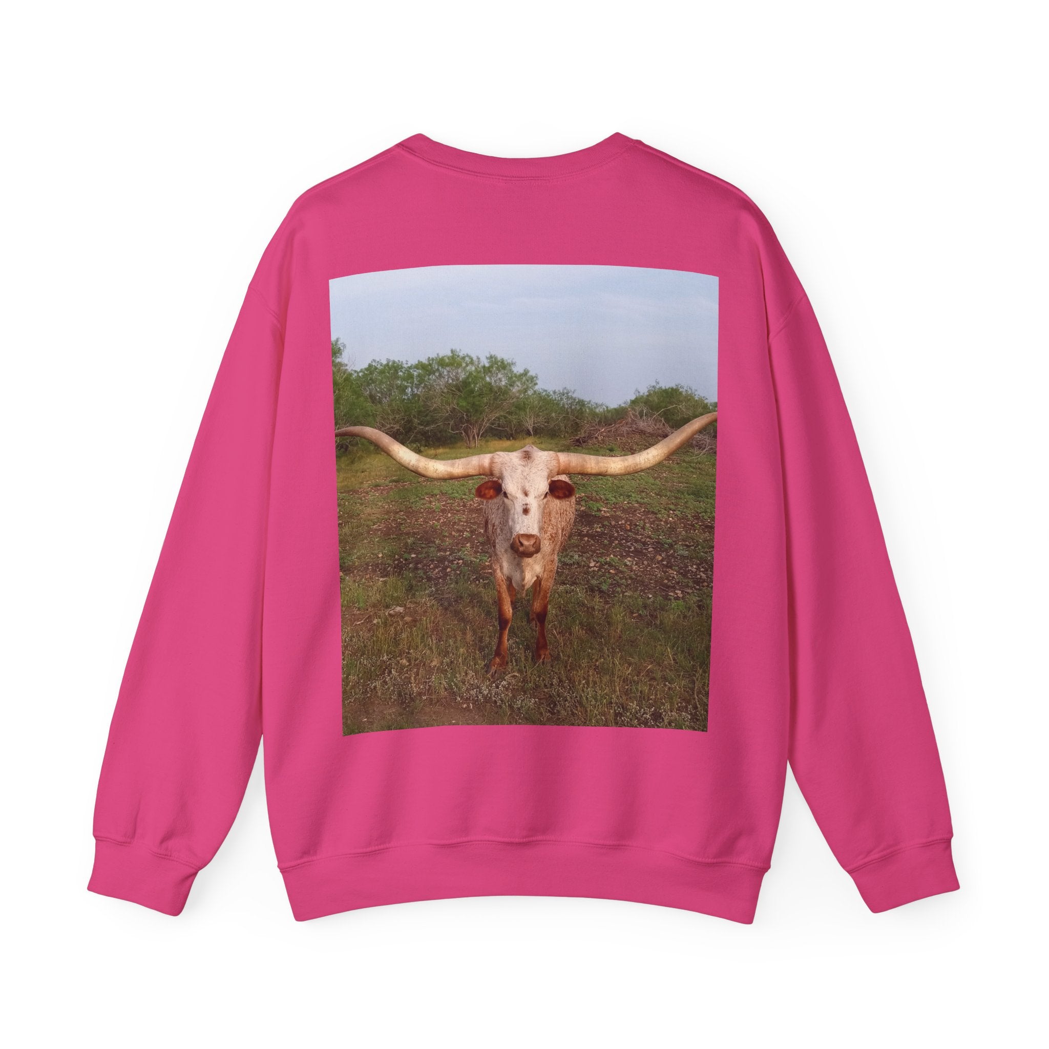 American Flag Crewneck Sweatshirt & Texas Longhorn  — Distressed Watercolor USA Graphic