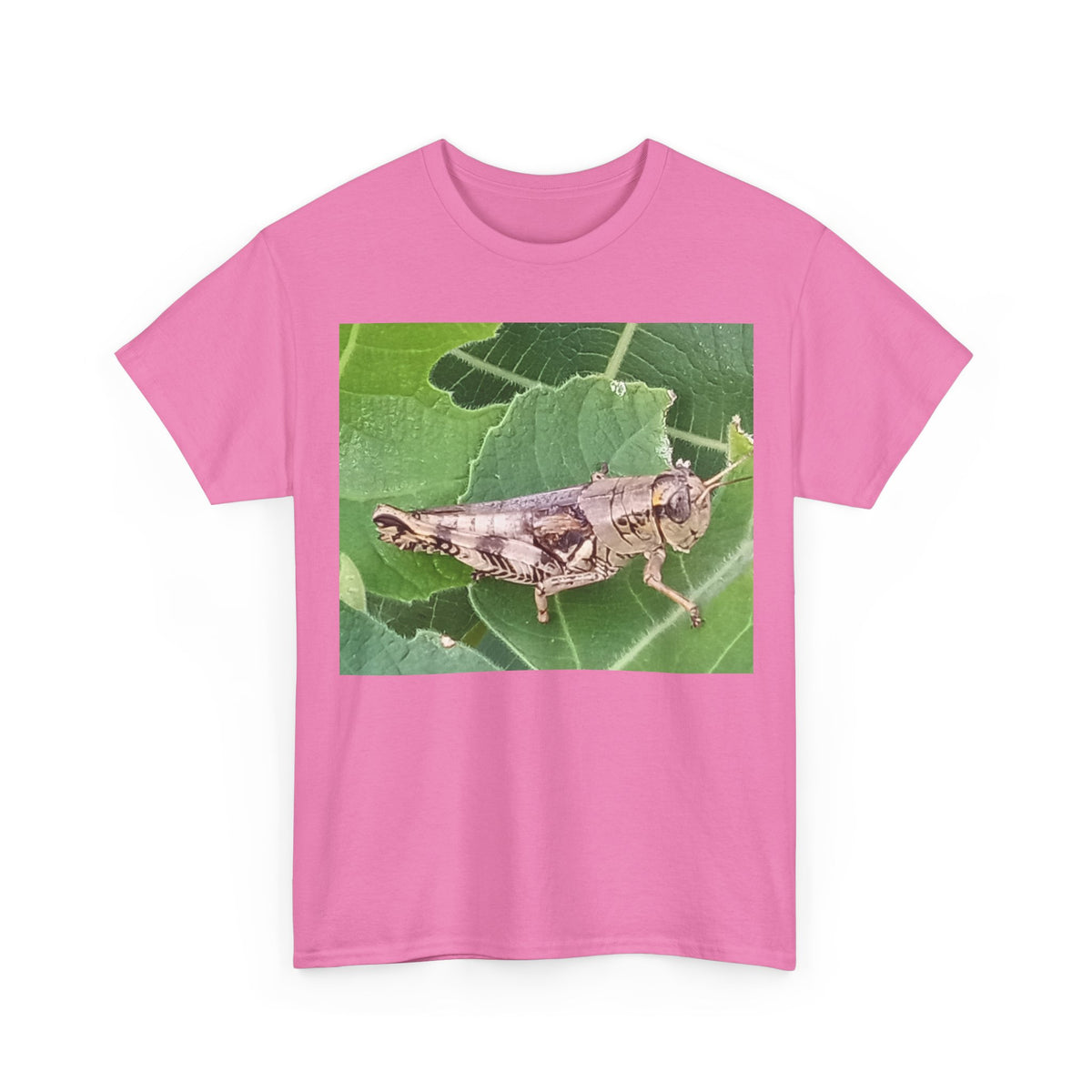 Grasshopper Photo Tee — Realistic Insect Nature T-Shirt