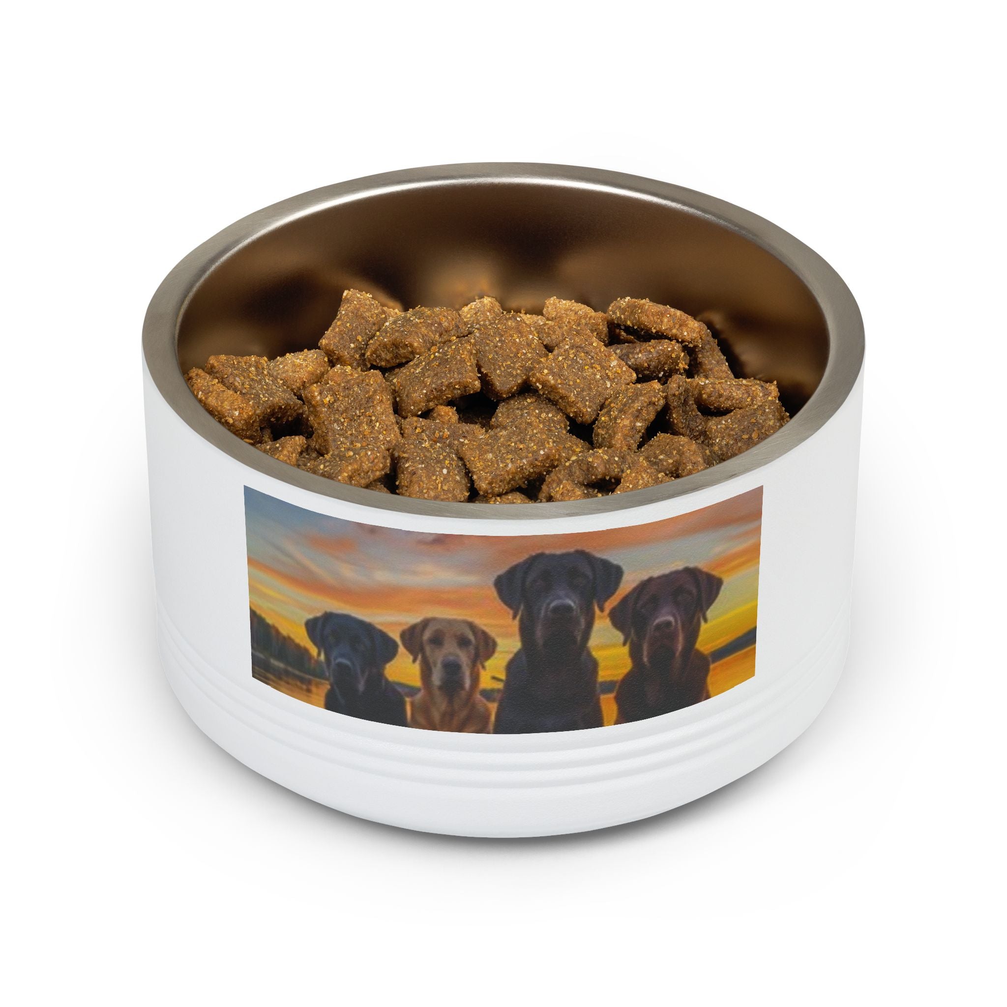 18oz Pet Bowl — Playful Diving Cat & Labradors  Design Stainless Steel Water & Food Dish