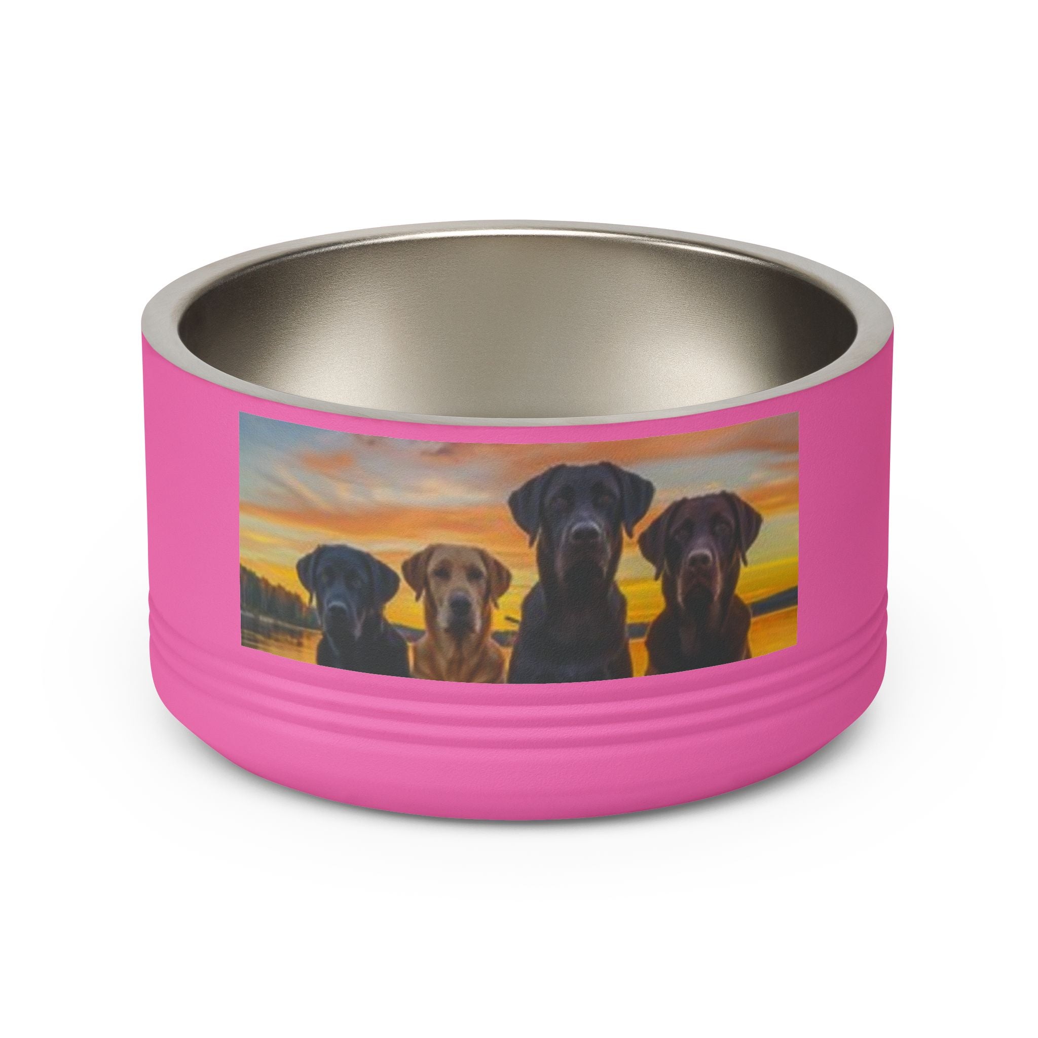 18oz Pet Bowl — Playful Diving Cat & Labradors  Design Stainless Steel Water & Food Dish