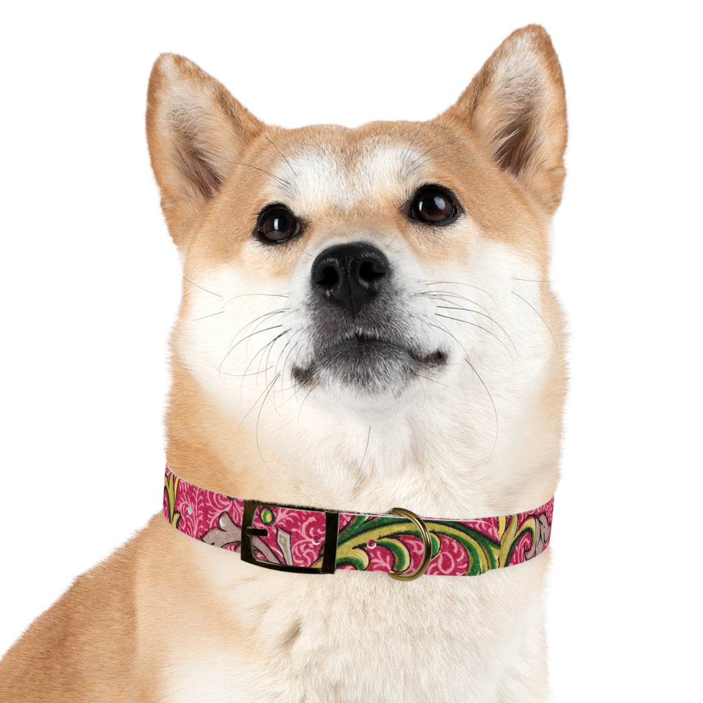 Floral Paisley Dog Collar — Pink Vintage Swirl Pattern