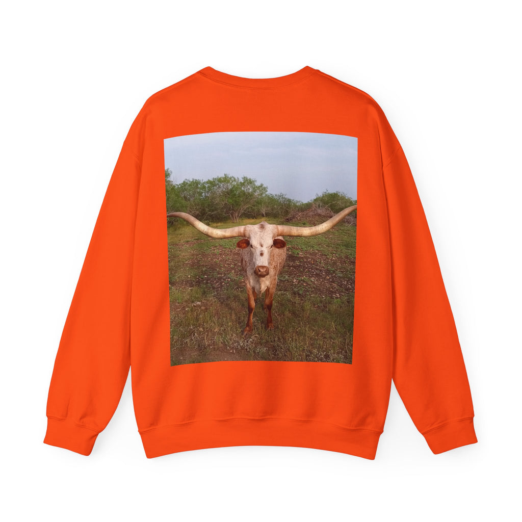 American Flag Crewneck Sweatshirt & Texas Longhorn  — Distressed Watercolor USA Graphic