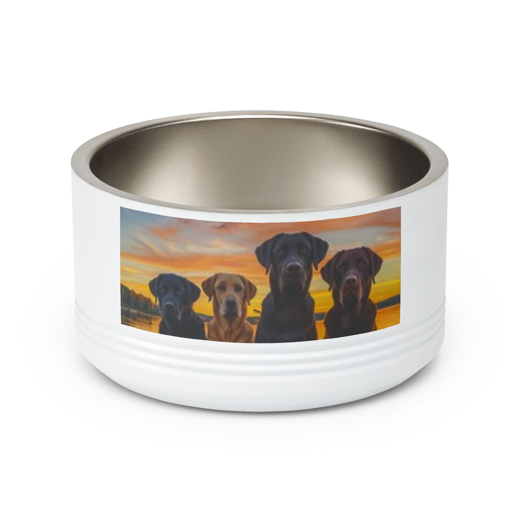 18oz Pet Bowl — Playful Diving Cat & Labradors  Design Stainless Steel Water & Food Dish