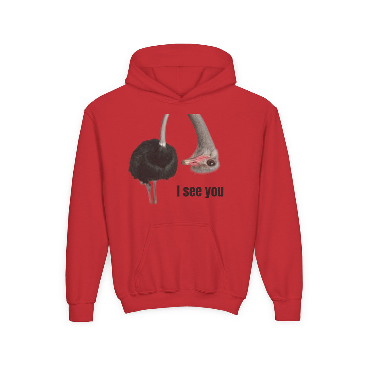 Youth Hoodie – Cute Ostrich I See You Pullover