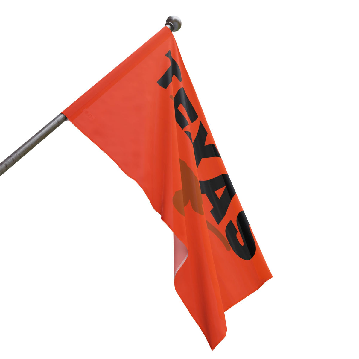 Texas Text Flag~Longhorn — Bold Retro State Pride Flag