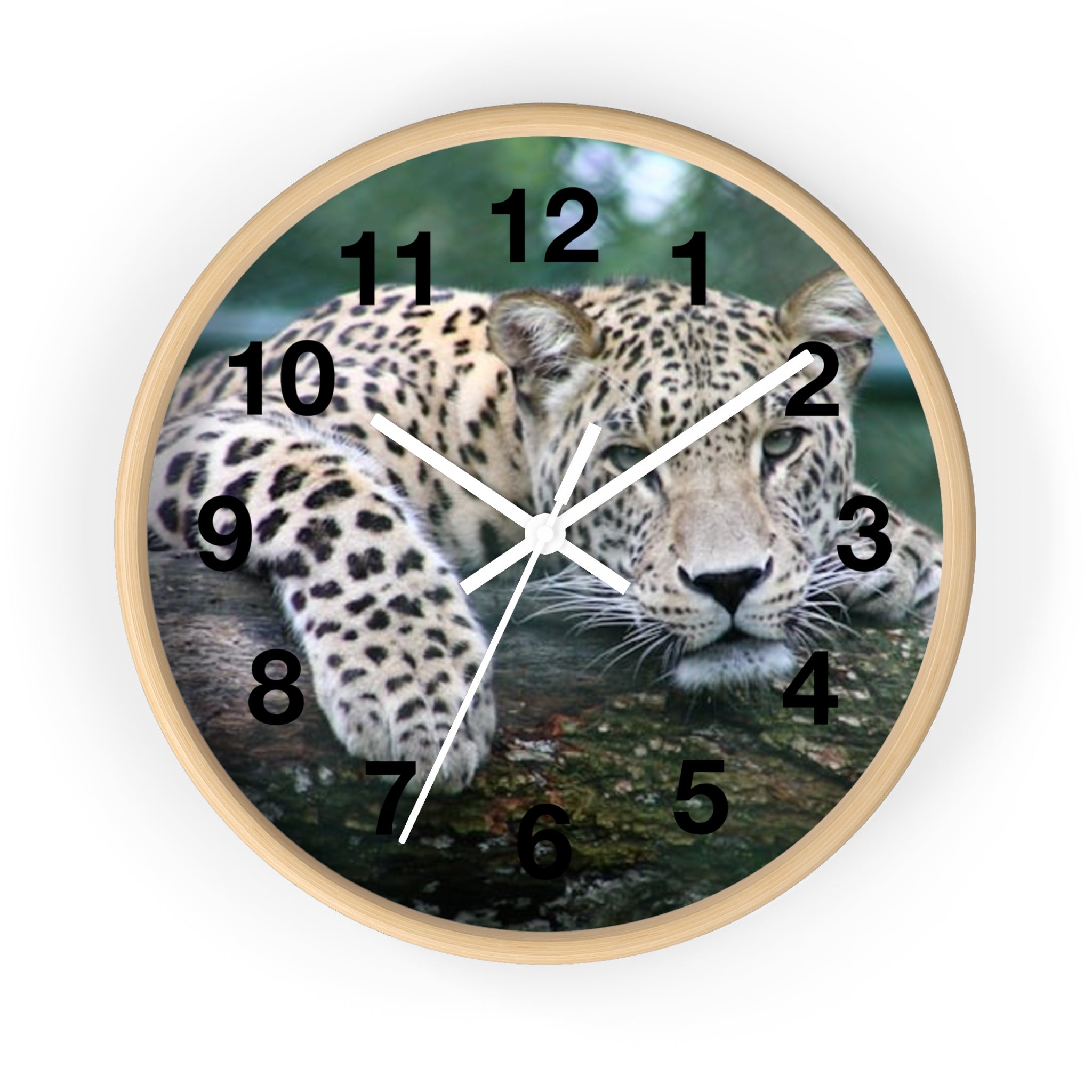 Leopard Wall Clock — Relaxed Wild Cat Photo Clock for Safari-Lodge Decor