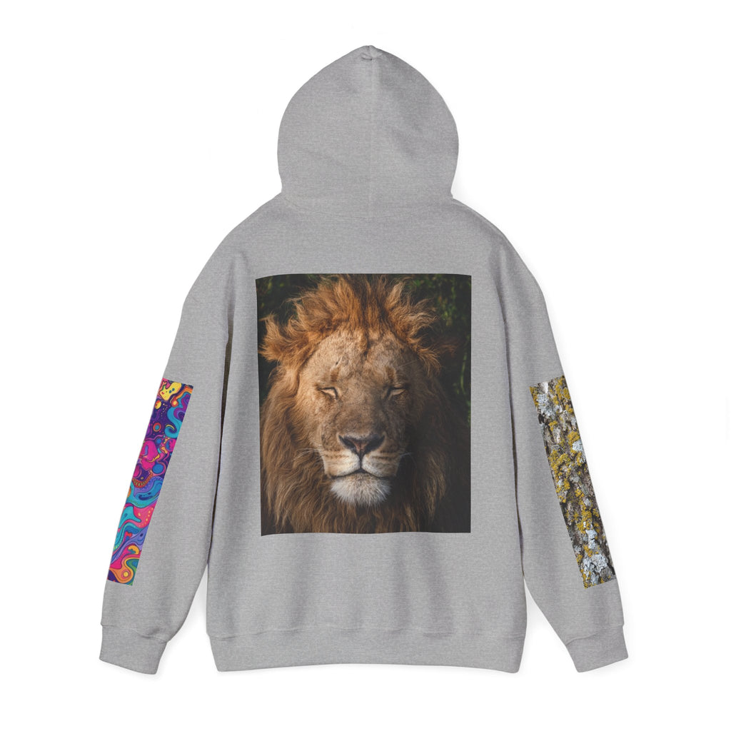 Lion Portrait Hoodie with Colorful Sleeve Accent — Majestic Wildlife Pullover