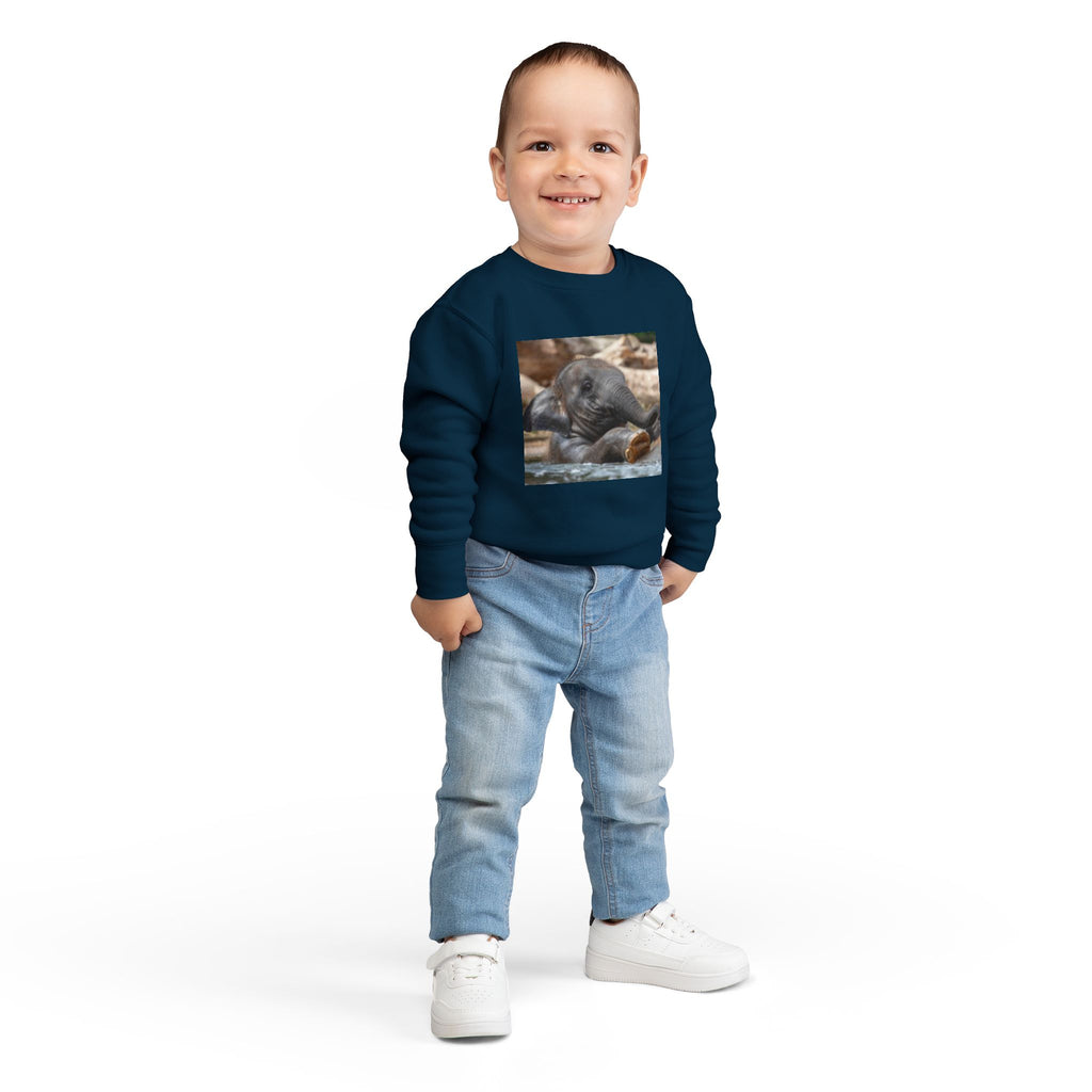 Toddler Sweatshirt - Cute Baby Elephant Nap Photo Sweatshirt for Kids