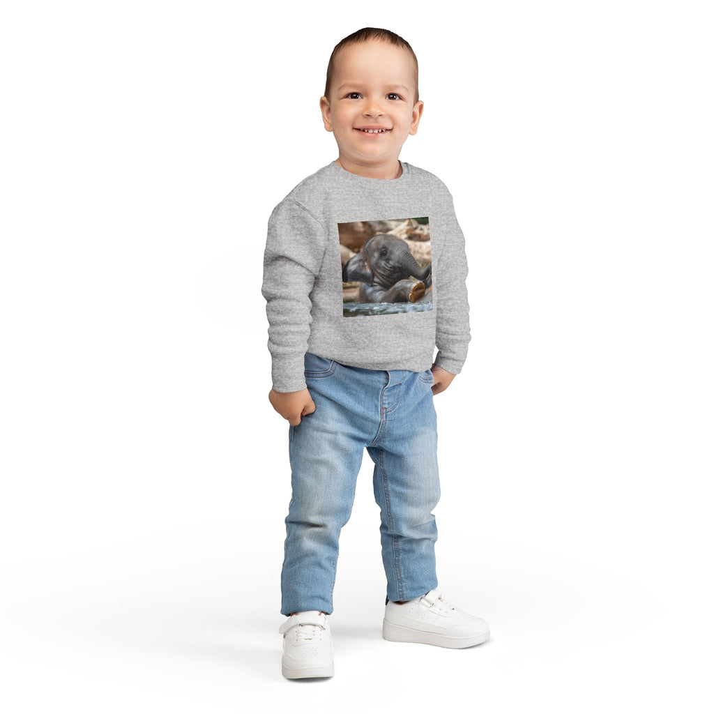 Toddler Sweatshirt - Cute Baby Elephant Nap Photo Sweatshirt for Kids