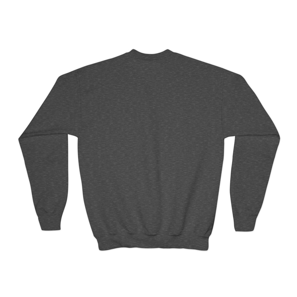 Youth Crewneck Sweatshirt — Colorful Cartoon Kittens Group Graphic