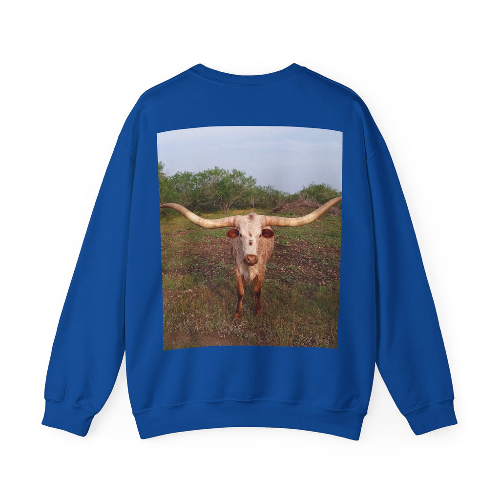 American Flag Crewneck Sweatshirt & Texas Longhorn  — Distressed Watercolor USA Graphic