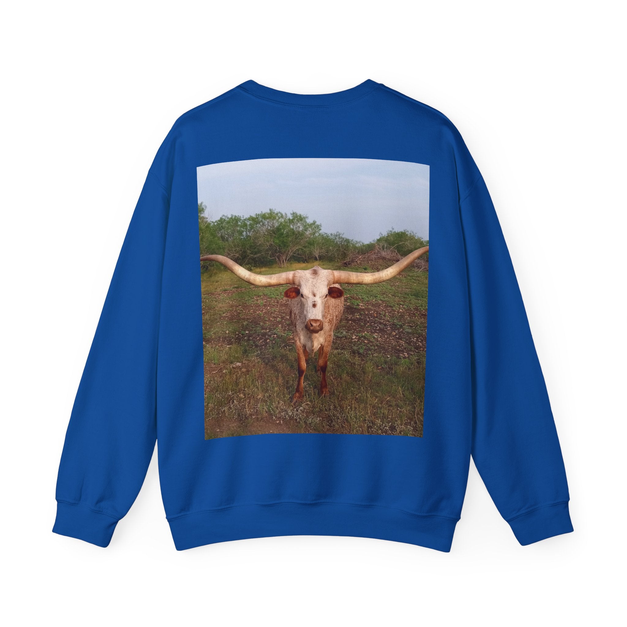 American Flag Crewneck Sweatshirt & Texas Longhorn  — Distressed Watercolor USA Graphic