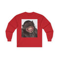 Unisex Ultra Cotton Long Sleeve Tee