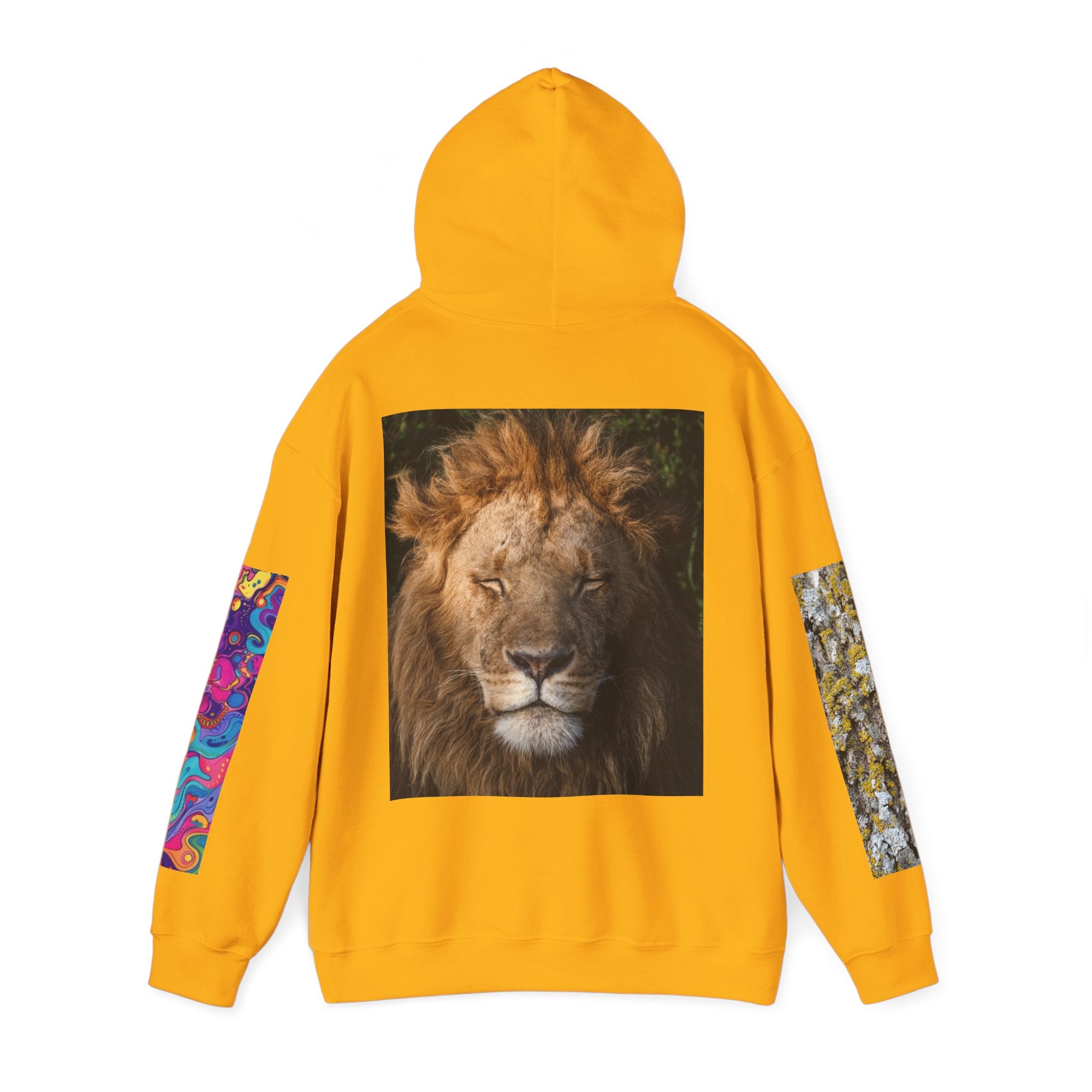 Lion Portrait Hoodie with Colorful Sleeve Accent — Majestic Wildlife Pullover