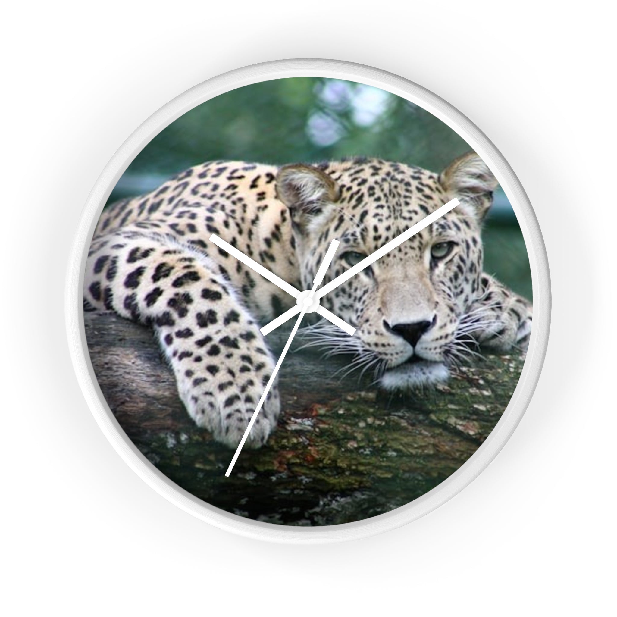 Leopard Wall Clock — Relaxed Wild Cat Photo Clock for Safari-Lodge Decor