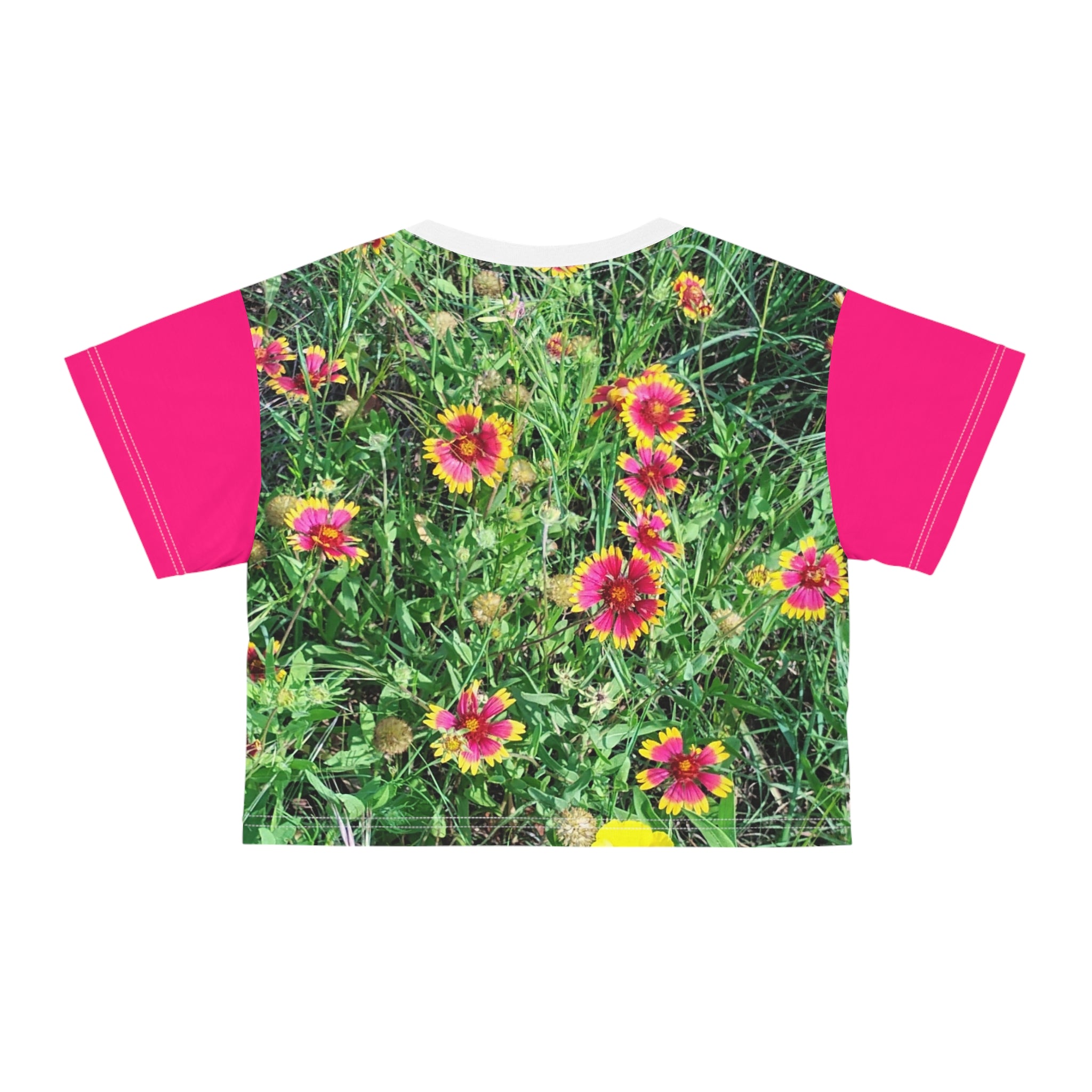 Women's Floral Field Crop T-shirt Pink Gaillardia Flower or Mexican Hat