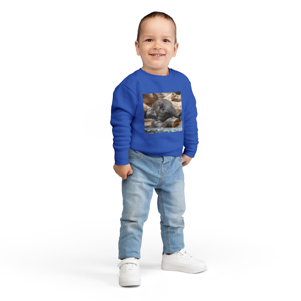 Toddler Sweatshirt - Cute Baby Elephant Nap Photo Sweatshirt for Kids