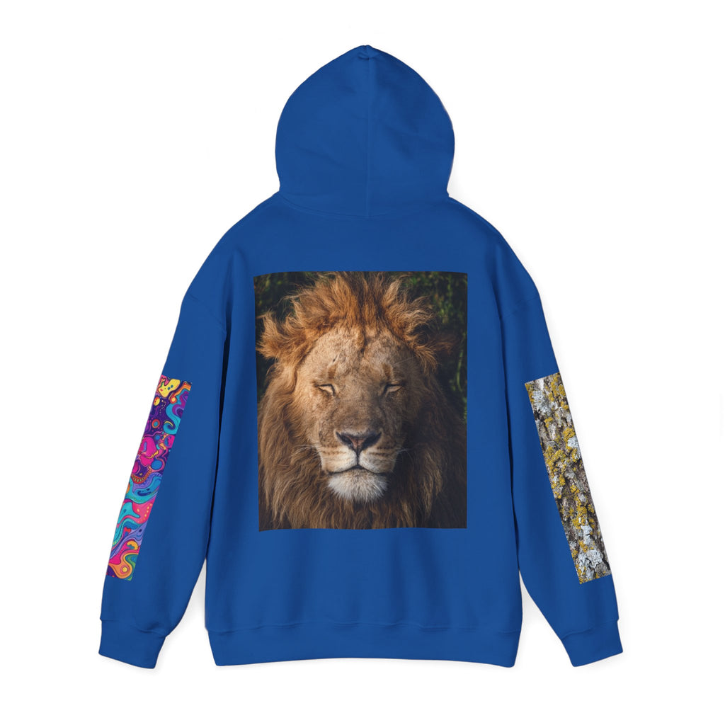 Lion Portrait Hoodie with Colorful Sleeve Accent — Majestic Wildlife Pullover