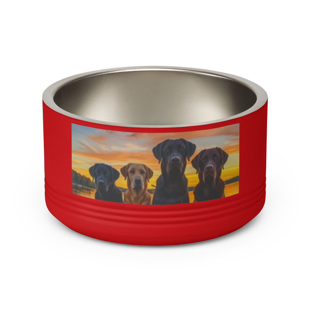 18oz Pet Bowl — Playful Diving Cat & Labradors  Design Stainless Steel Water & Food Dish