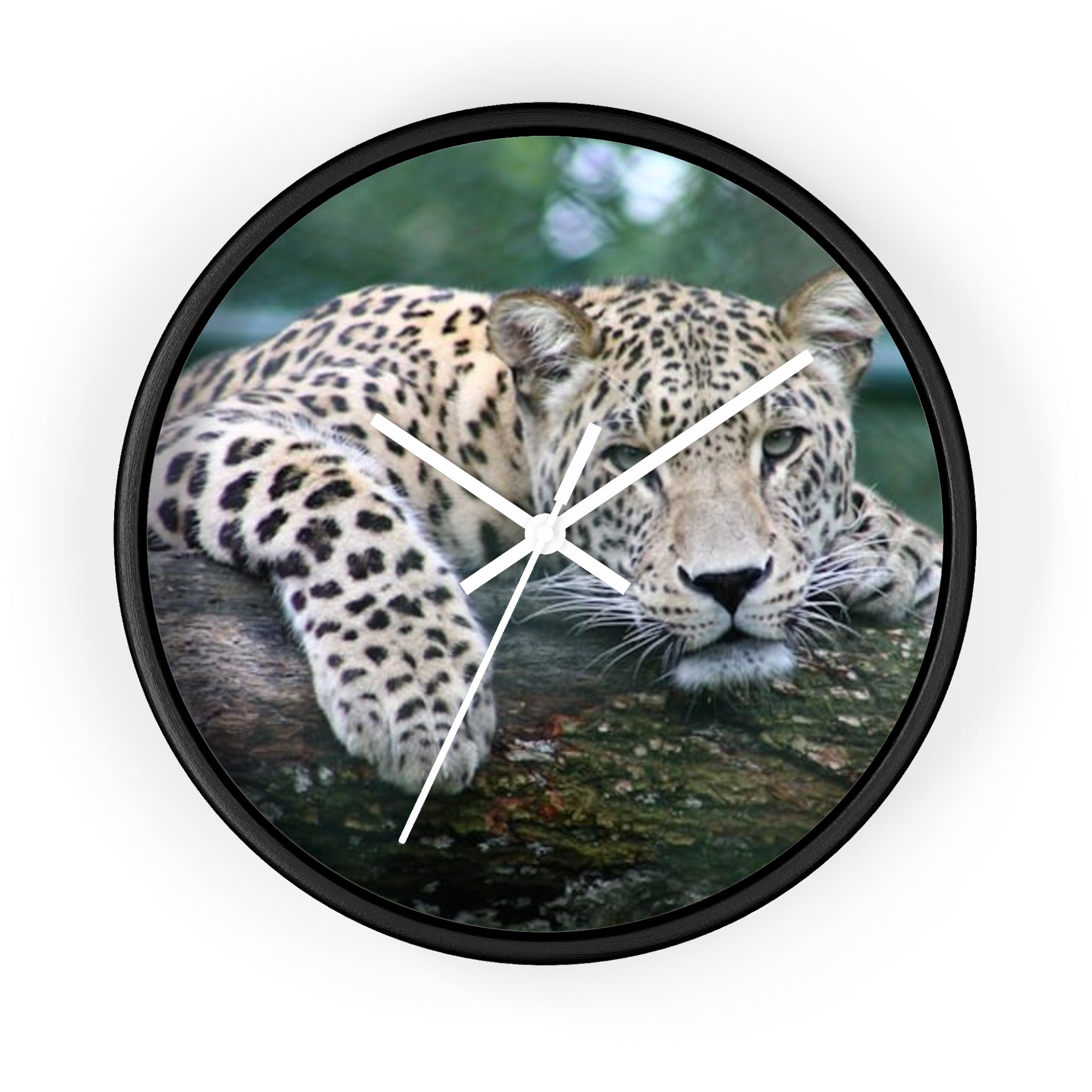 Leopard Wall Clock — Relaxed Wild Cat Photo Clock for Safari-Lodge Decor