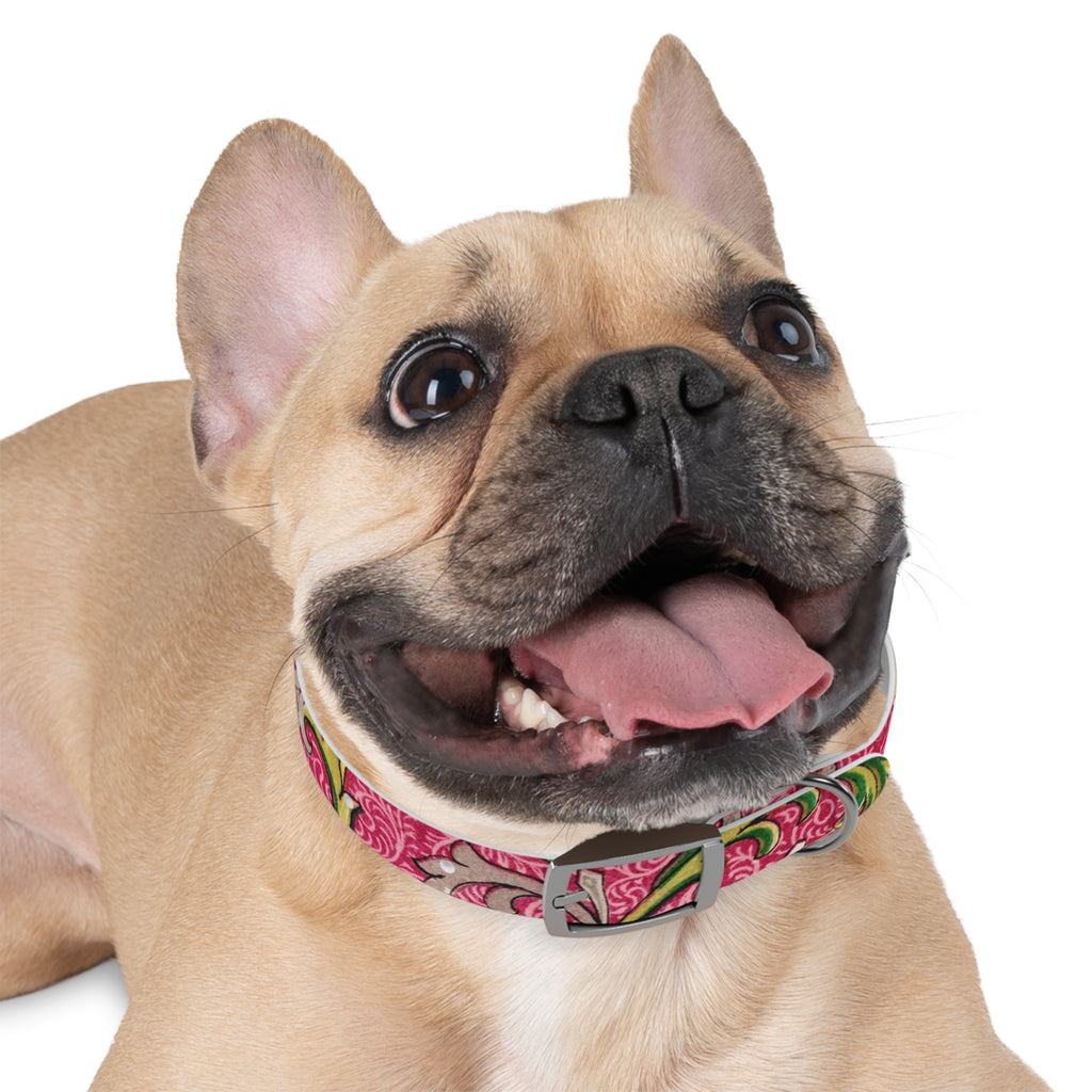 Floral Paisley Dog Collar — Pink Vintage Swirl Pattern