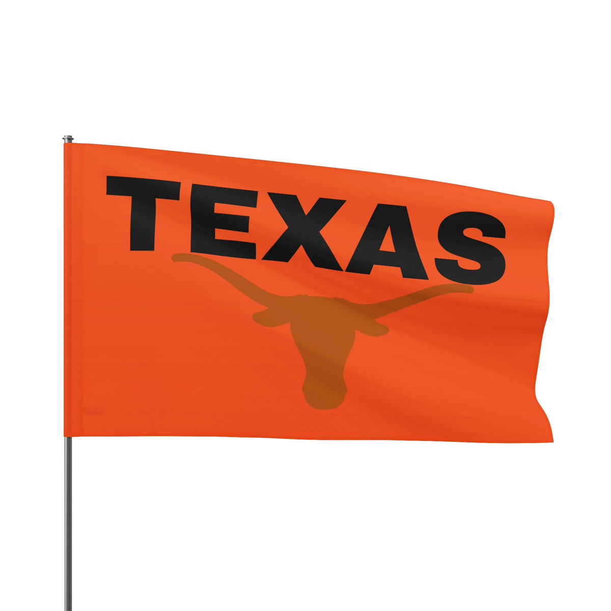 Texas Text Flag~Longhorn — Bold Retro State Pride Flag
