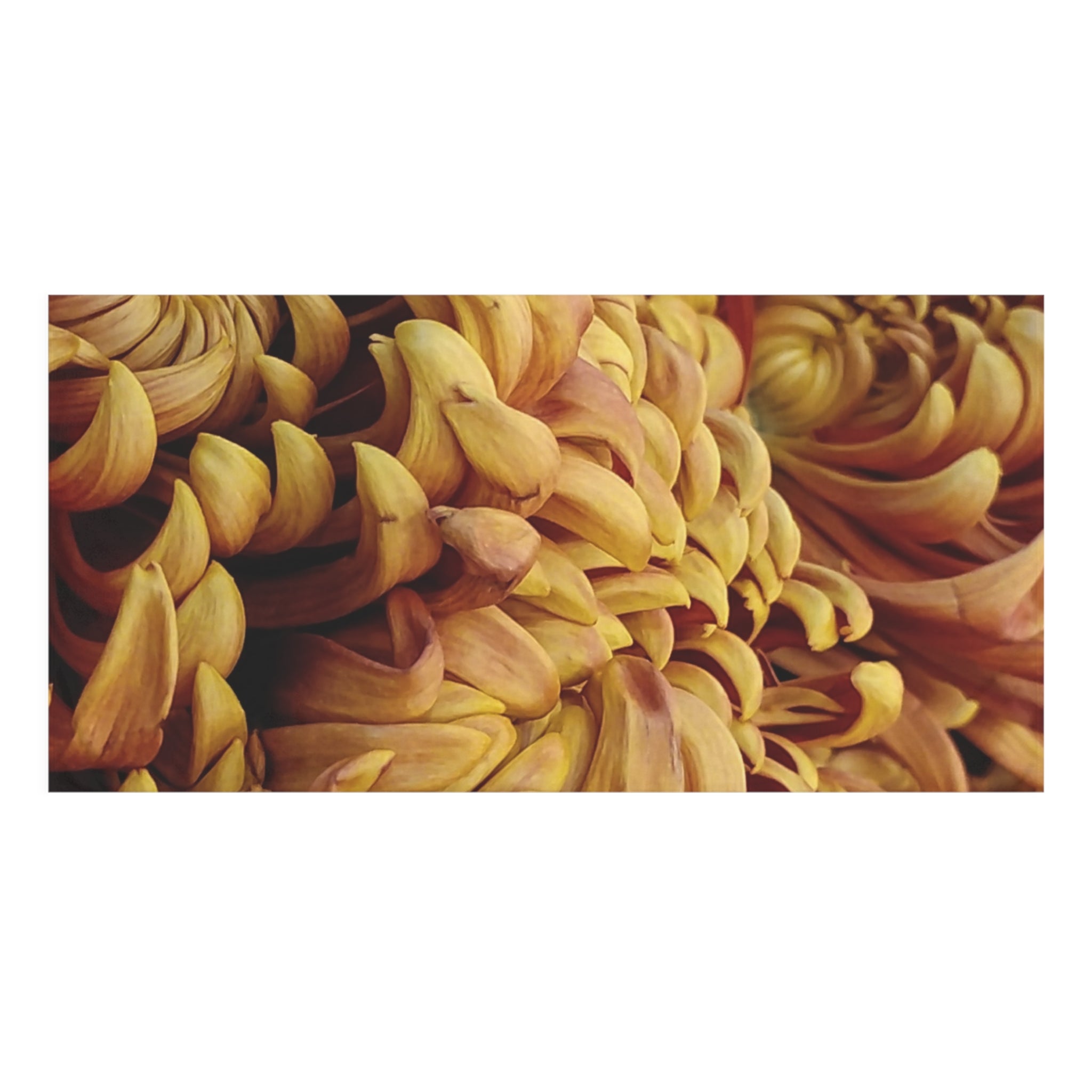 Floral Chrysanthemum Mink-Cotton Towel — Warm Golden Petal Print, Luxury Decorative Bath & Beach Towel