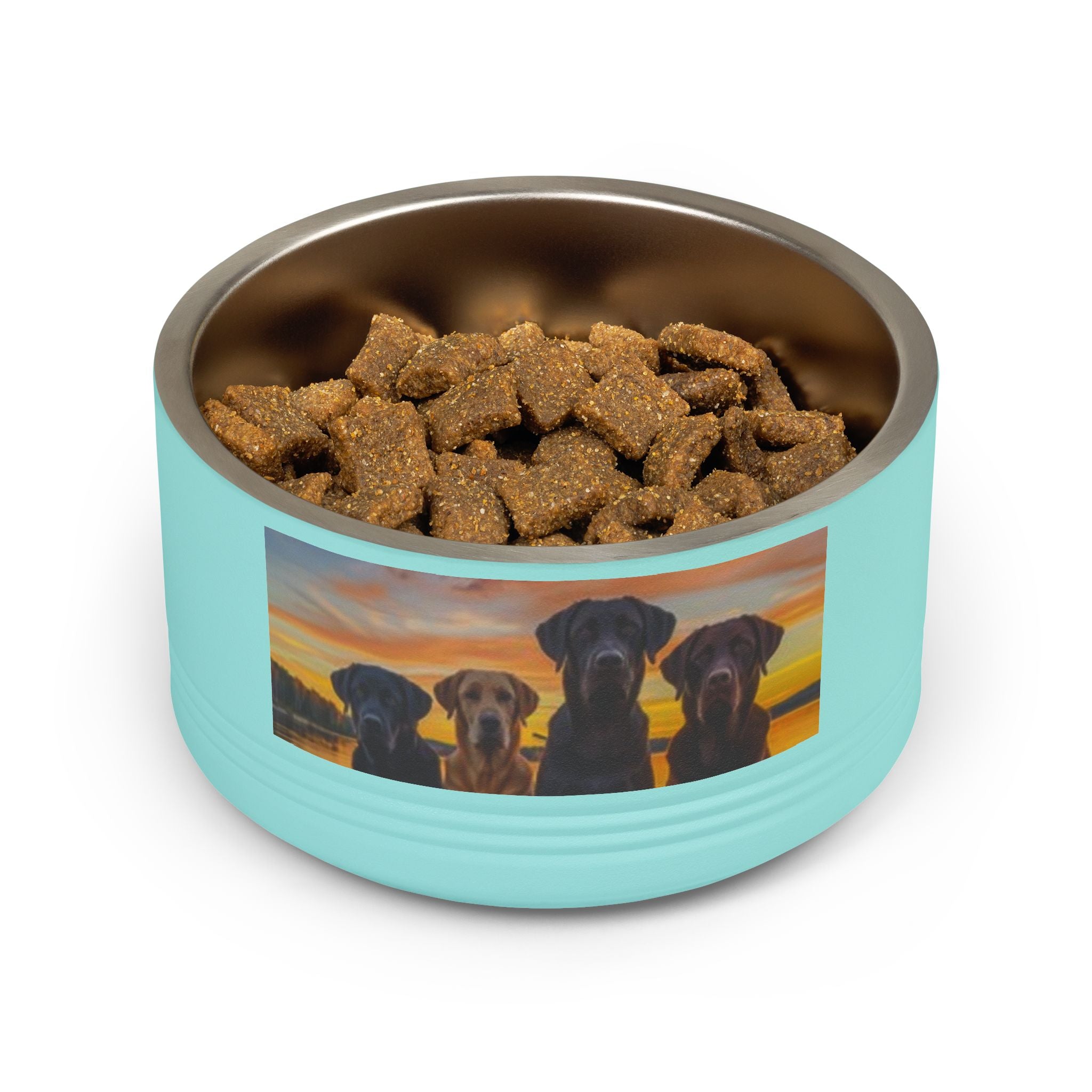 18oz Pet Bowl — Playful Diving Cat & Labradors  Design Stainless Steel Water & Food Dish