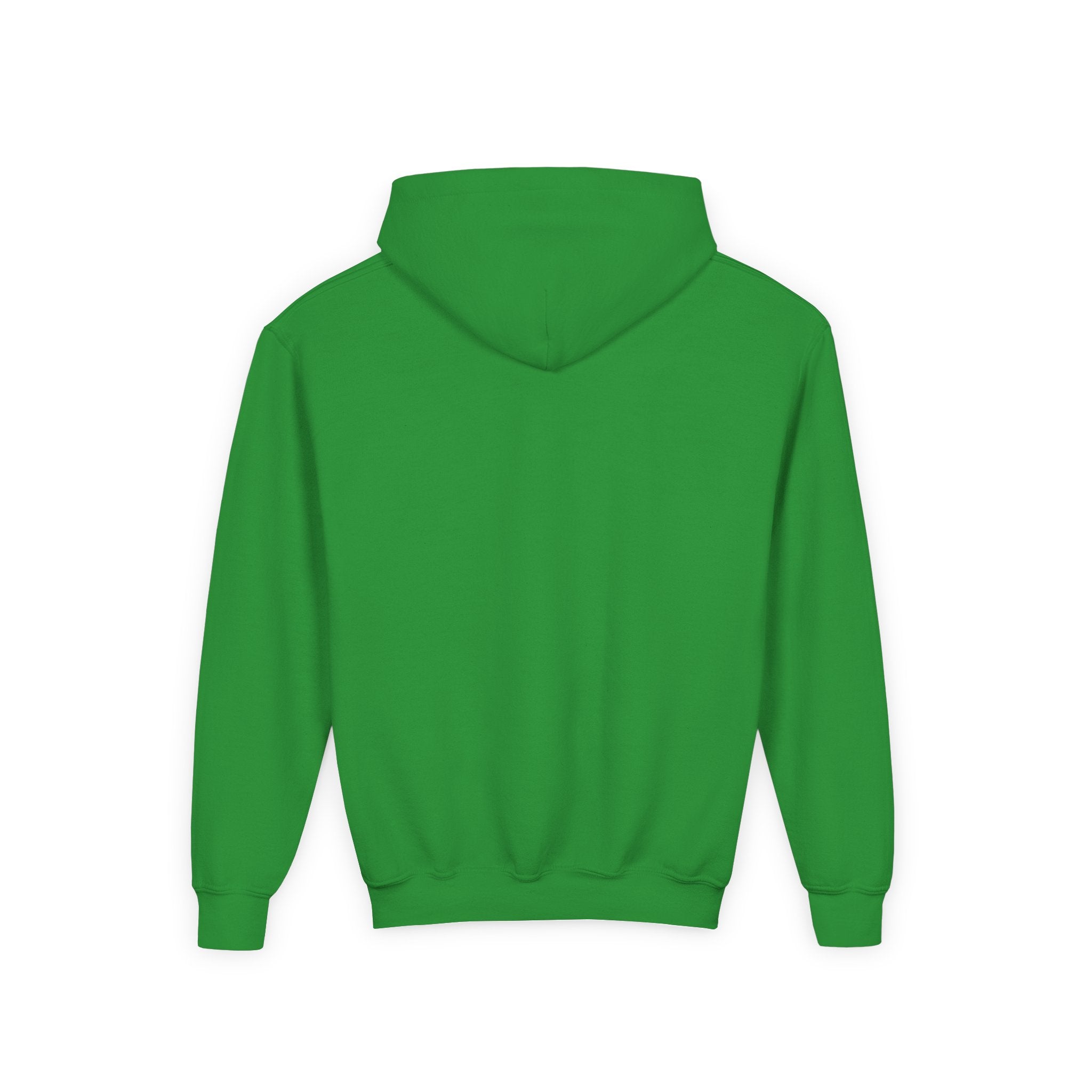 Youth Frog Hoodie – Cute Green Tree Frog Graphic Pullover