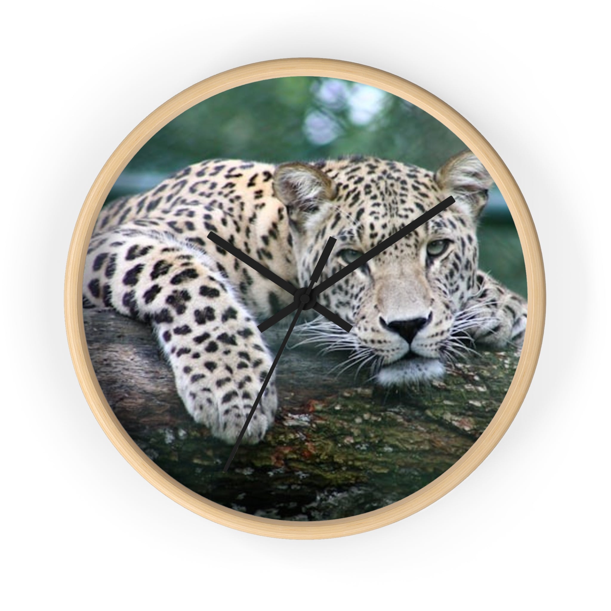 Leopard Wall Clock — Relaxed Wild Cat Photo Clock for Safari-Lodge Decor