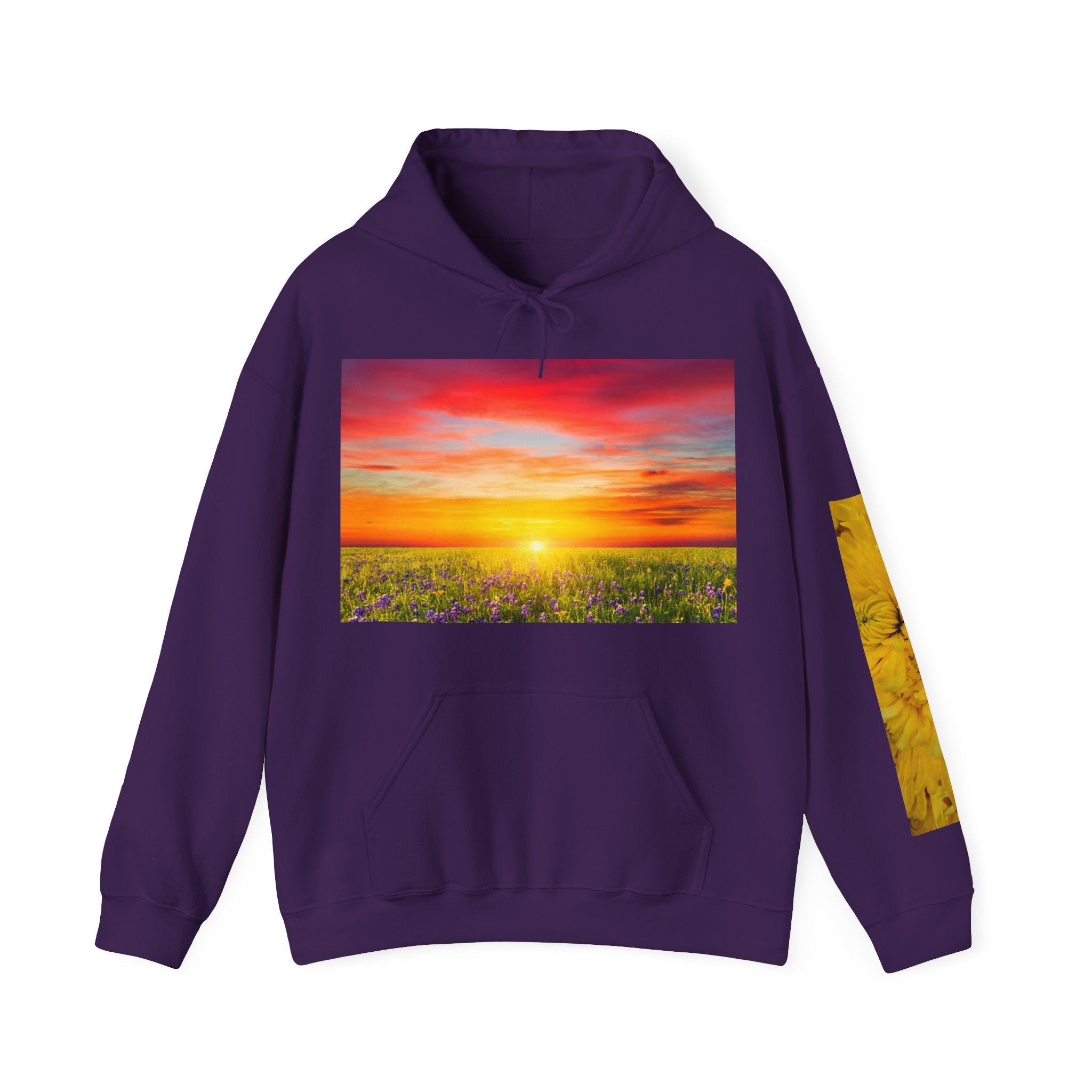 Sunrise Meadow & Horse Graphic Hoodie — Scenic Sunset Landscape and Saddled Horse Print