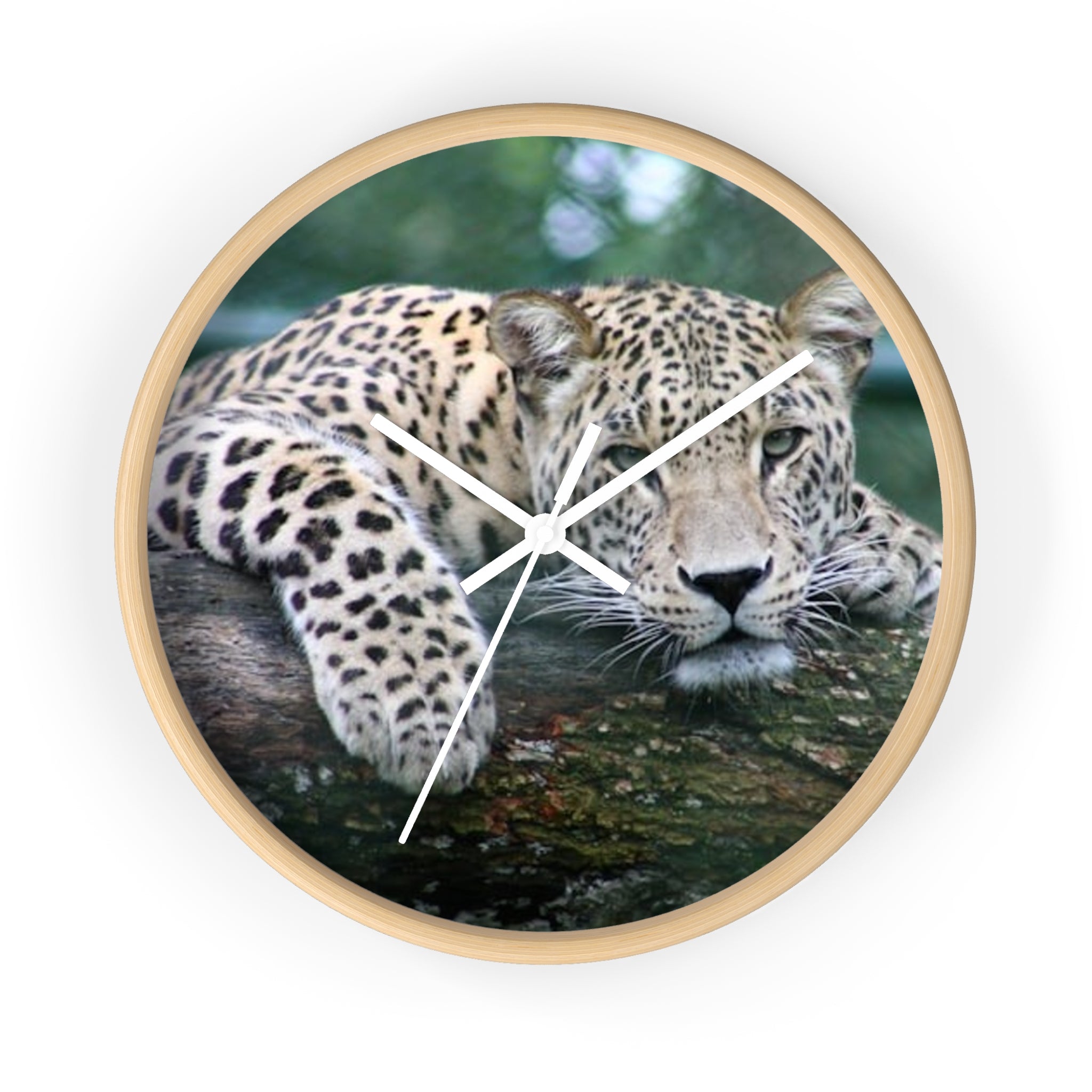 Leopard Wall Clock — Relaxed Wild Cat Photo Clock for Safari-Lodge Decor
