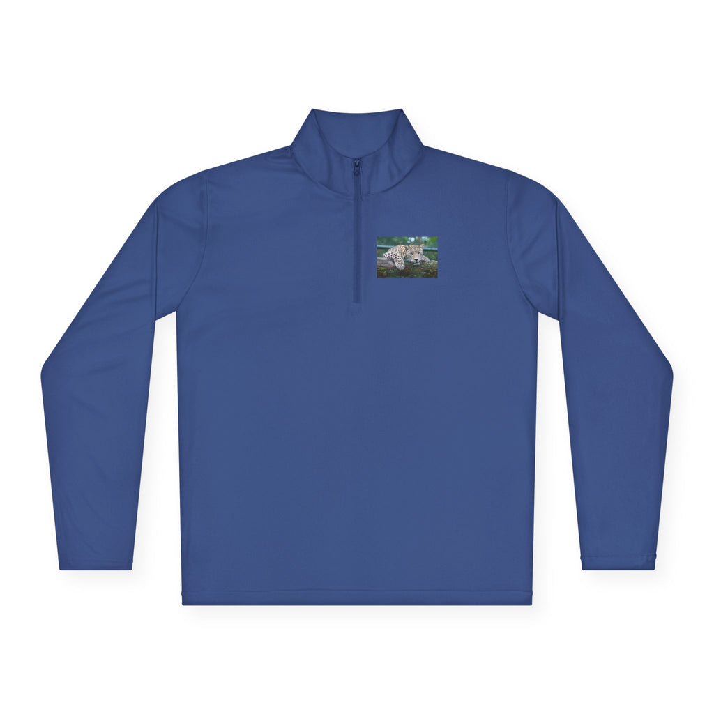 Dog Walk Sunset Quarter-Zip Pullover